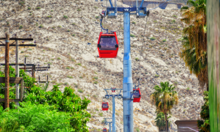 Durante Semana Santa se incrementa 80% demanda en Teleférico de Torreón