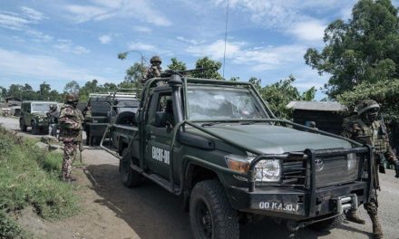 Ejército de Uganda abate a 242 milicianos de Codeco en la RDC