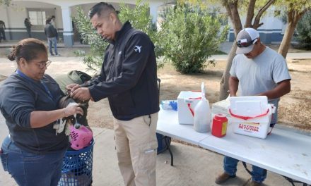 Alistan campaña de vacunación antirrábica en la región Fronteriza
