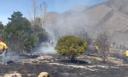 Combaten incendios en la sierra de Arteaga
