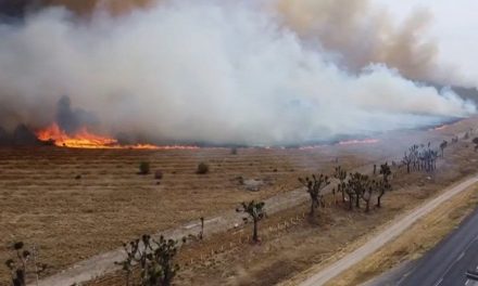 Más de 250 hectáreas afectadas tras incendio en Huachichil con 95 por ciento de control