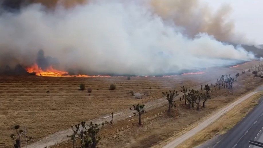 Más de 250 hectáreas afectadas tras incendio en Huachichil con 95 por ciento de control