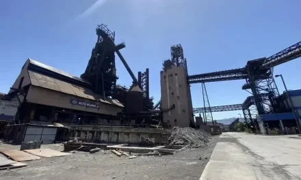 Convoca AHMSA a subasta de bienes