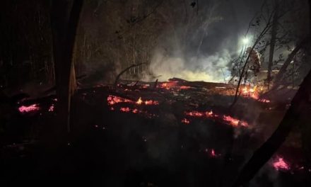 Aumentan incendios forestales en Sabinas