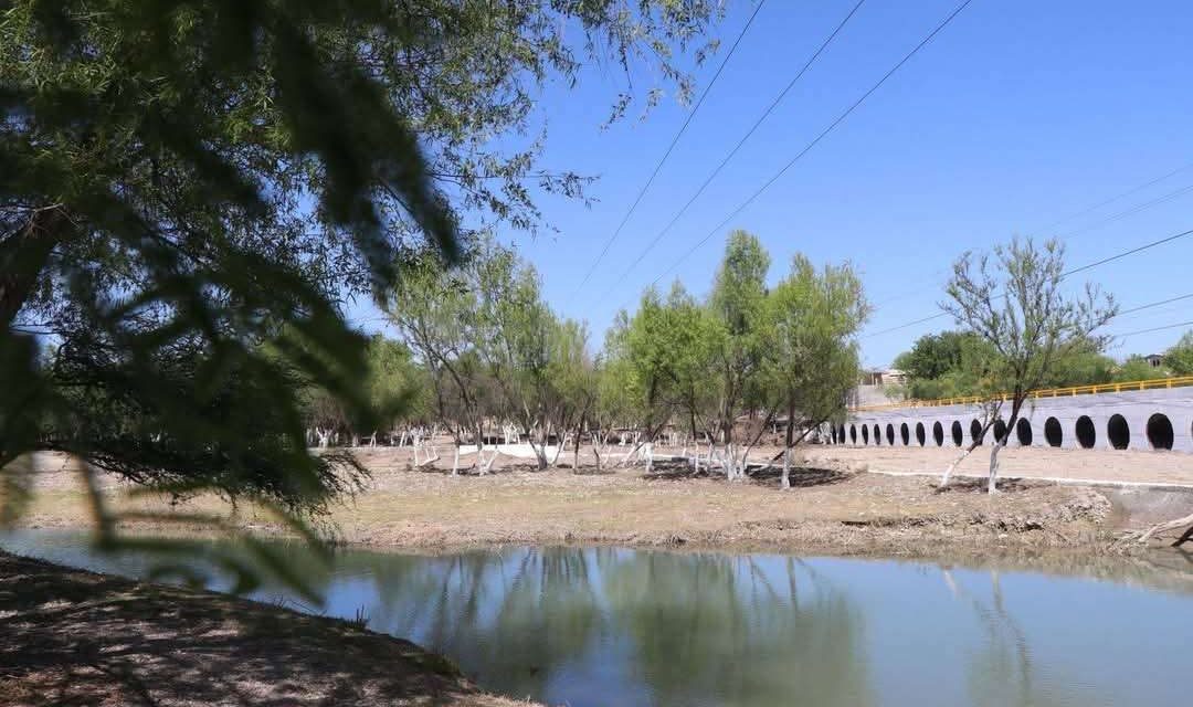 Refuerzan vigilancia en zonas naturales de la región Carbonífera