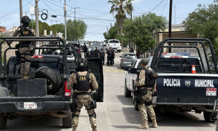 Aseguran más de seis kilos de droga en cateo en Sabinas