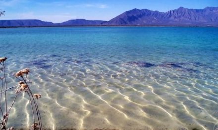 Turistas podrán nadar de nuevo en Las Playitas de Cuatro Ciénegas