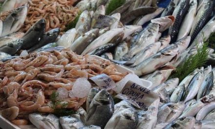 Aumentan ventas de mariscos hasta 70% durante días santos en Monclova