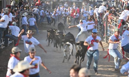 Un éxito el regreso del ‘Running las Vacas’ en Acuña