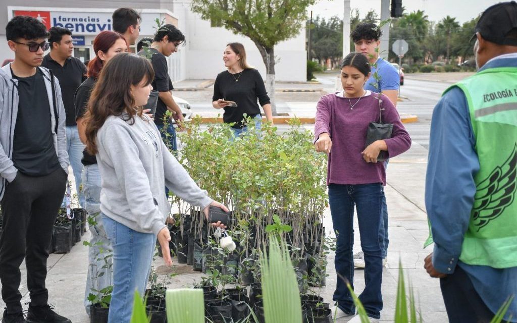 Refuerzan control en la tala de árboles de Piedras Negras