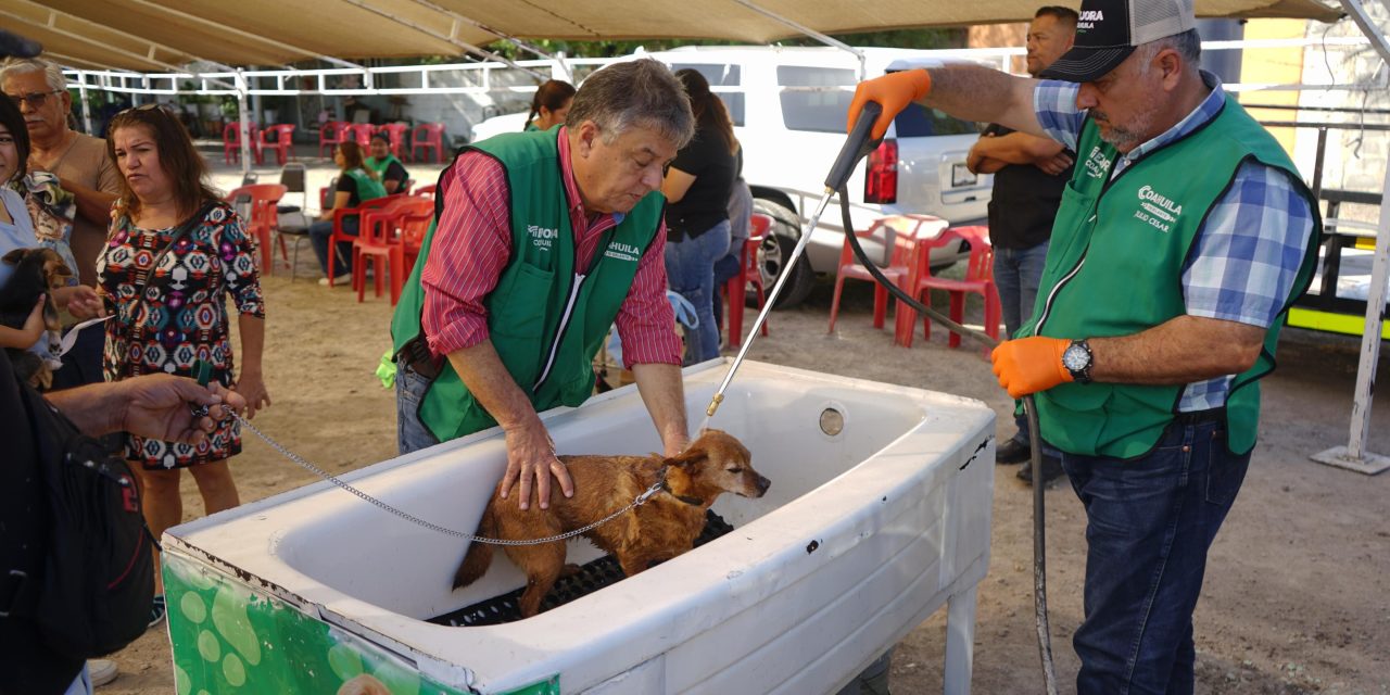 Acercan servicios gratuitos de salud para mascotas en Piedras Negras a través de Mejora