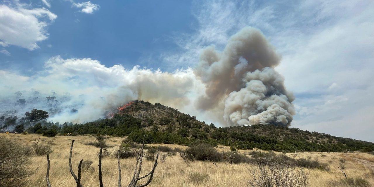 PC estatal y local, Ejército, GN, bomberos y voluntarios combaten incendio forestal de Arteaga