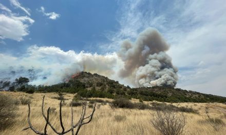 PC estatal y local, Ejército, GN, bomberos y voluntarios combaten incendio forestal de Arteaga