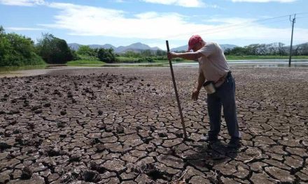 Sequía en la Laguna podría ser más compleja