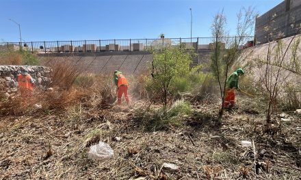 Reanudan la ‘Ruta del Descacharre’ en Torreón; recolectan 190 toneladas de basura