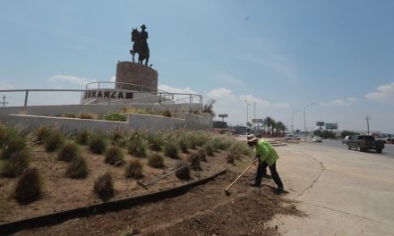 Cuadrillas de ‘Aquí Andamos’ rehabilitan áreas verdes