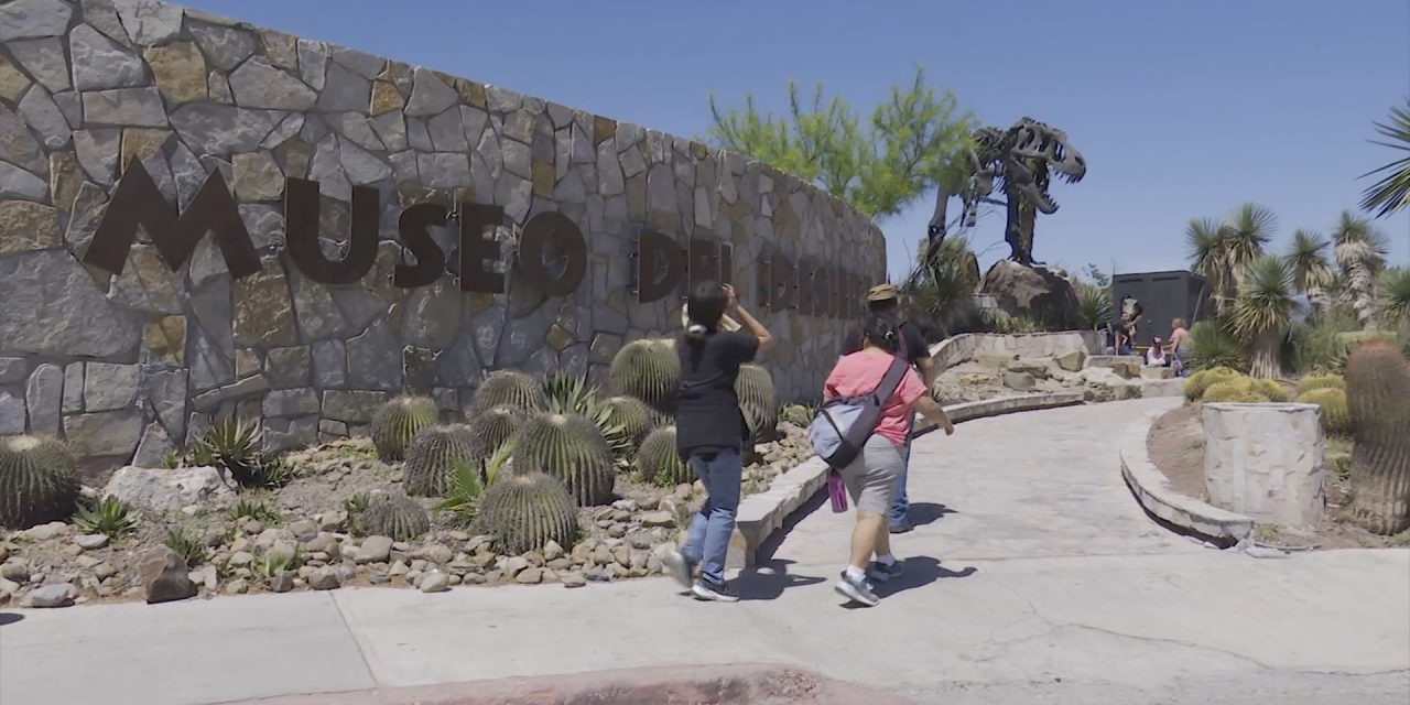 Más de 26 mil personas visitan el Museo del Desierto
