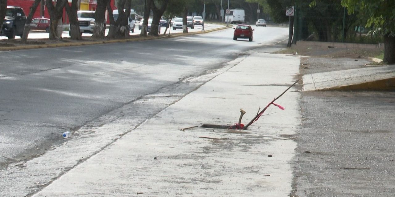 Peligrosa alcantarilla esta a un costado del parque Madero.