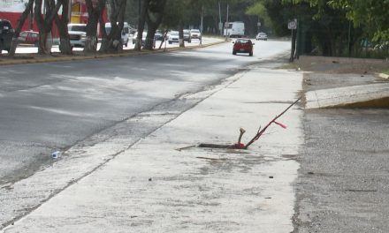 Peligrosa alcantarilla esta a un costado del parque Madero.