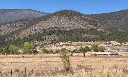 Recomienda municipio de Arteaga evitar uso de carbón en la Sierra