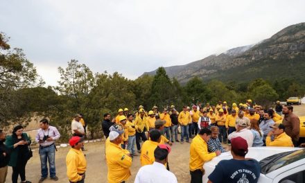 Atiende Arteaga incendio forestal en el norte del municipio