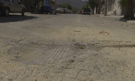 Es intransitable la calle Nogal Pecan debido a la gran cantidad de baches