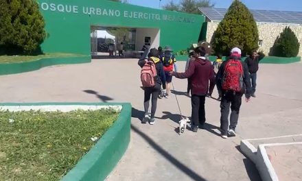 Saltillenses abandonan perros en el Bosque Urbano cuando las familias ya no lo quieren
