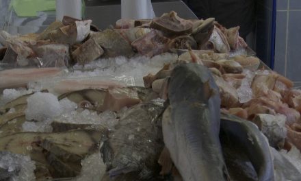 Continúa operativo de Cuaresma en Ramos Arizpe