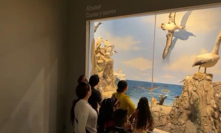 Crece visita al Museo de las Aves por periodo vacacional