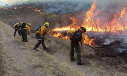 Veracruz enfrenta crisis por incendios forestales