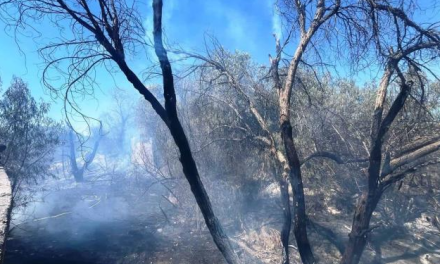 Familias de Nogales II temen por su seguridad, indigentes causan incendios y se drogan en tapias 