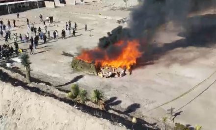 Incineran 3 toneladas de narcóticos en Saltillo