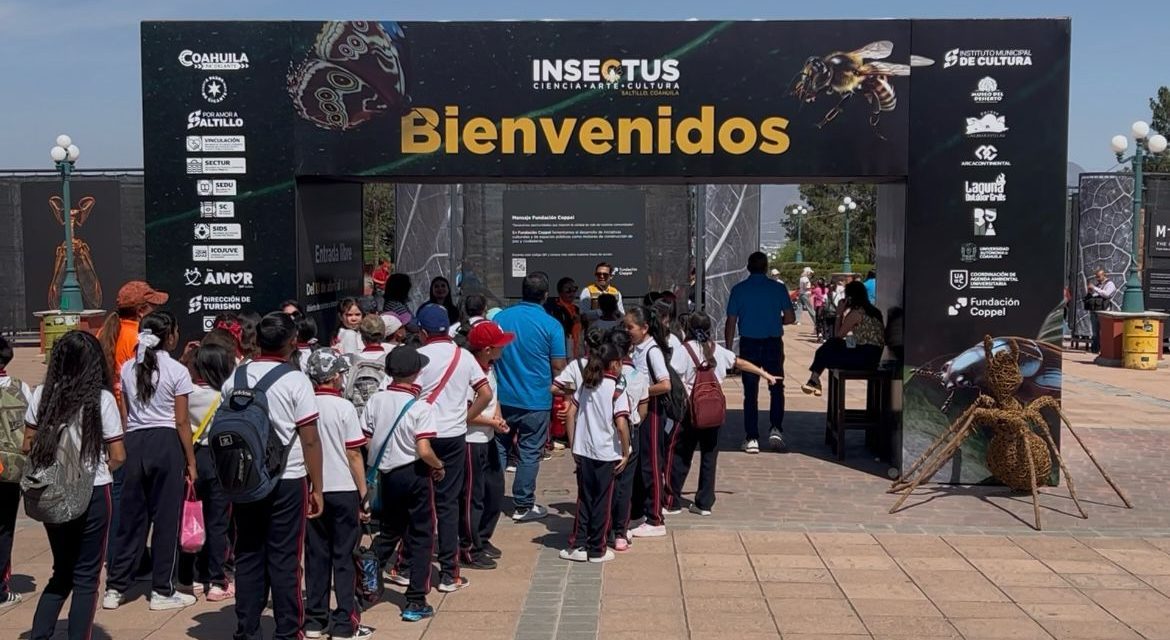 Insectus registra más de 20 mil visitantes