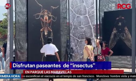 Más de 7 mil visitantes han disfrutado de exposición Insectus