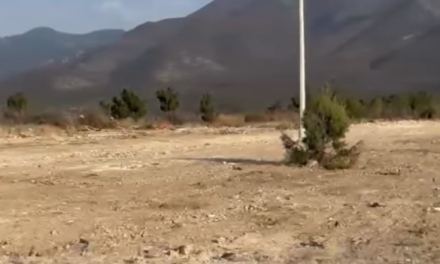 Rechaza propietaria ecocidio en terreno ubicado en la colonia Lomas Verdes