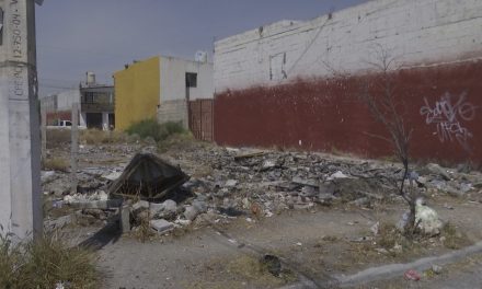 No soportan los malos olores  en baldío de Mirasierra