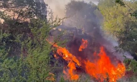 Se registra incendio de tejabanes en la colonia Villa Universidad