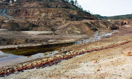 Una sexta parte de las tierras de cultivo están contaminadas con metales tóxicos