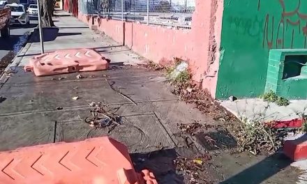 Tremenda fuga de agua en la calle Purcell