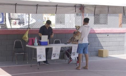 Realizan quinta jornada de vacunación y desparasitación de 3 mil animales de compañía
