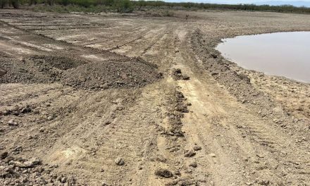Rehabilitan caminos rurales y estanques de agua en Agujita