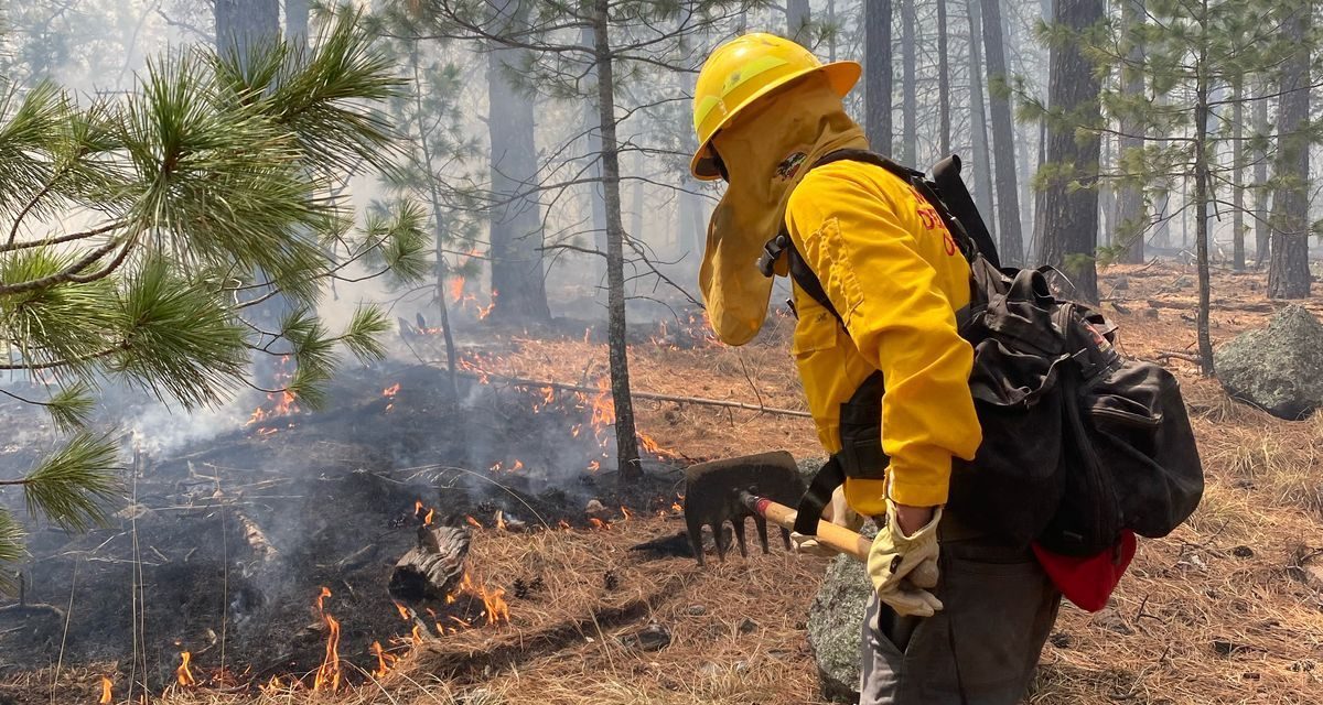 Cuestionan actuar de la Conanp ante incendio en Maderas del Carmen