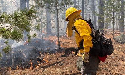 Cuestionan actuar de la Conanp ante incendio en Maderas del Carmen
