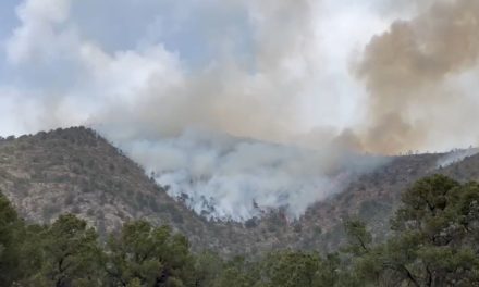 Activo un incendio forestal en Nuevo León que afecta también a la Sierra de Coahuila