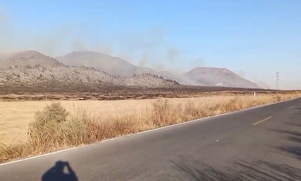 Activos cinco incendios forestales en Coahuila