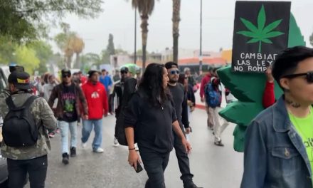 Marcha a favor de la legalización del cannabis en Saltillo
