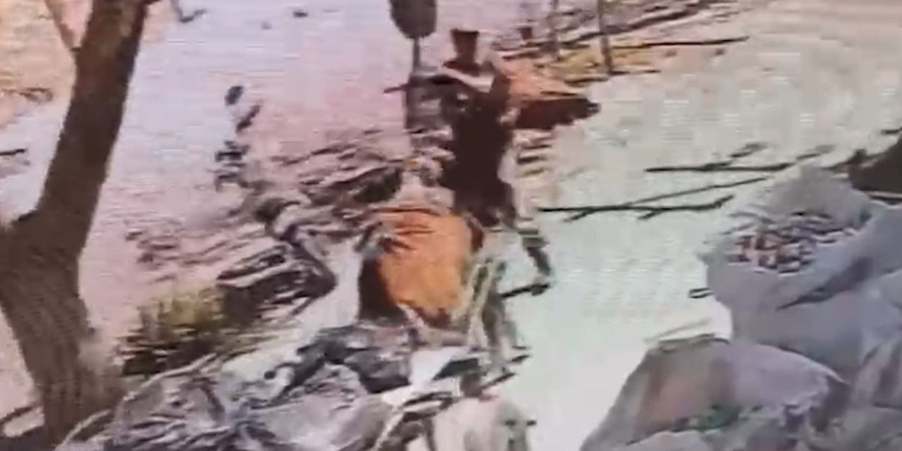 Captan maltrato animal en Torreón