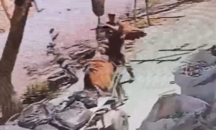 Captan maltrato animal en Torreón