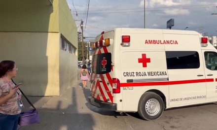 Saltillo: Joven de 19 años compra un caballo y termina en el hospital al caer de él