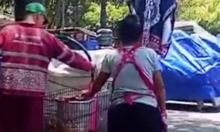 Video: Cachan a vendedora de elotes de la Alameda de la CDMX usando ‘agua puerca’
